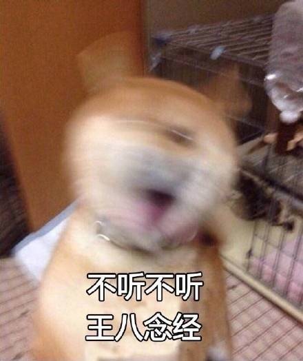跟女朋友讲道理时她的真实反应 这套表情包太真实了