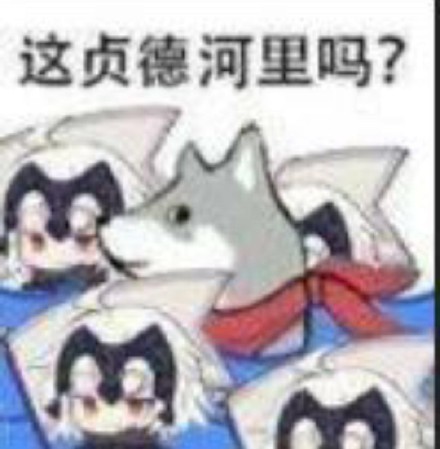 河狸表情包火了！这套“合理”梗图太会整活了