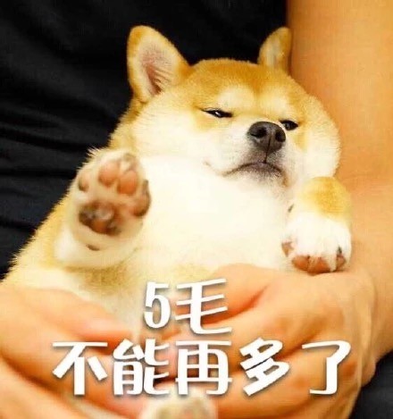 狗狗版拒绝表情包合集来啦