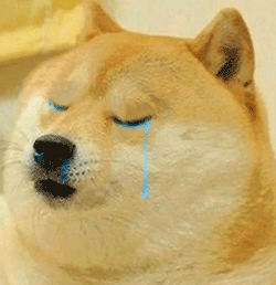 斗图常备！神烦柴犬表情包合集来了