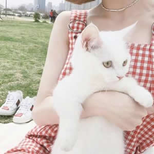 软萌少女心头像合集！16张高清可爱萌系头像任你挑