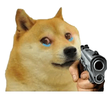 斗图常备！神烦柴犬表情包合集来了