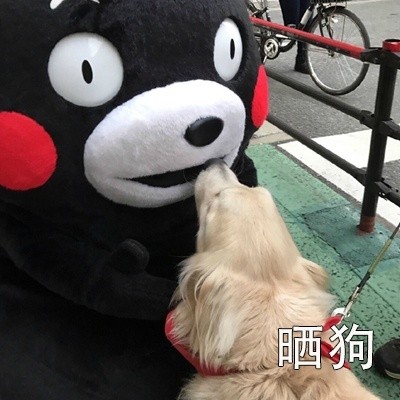 朋友圈日常同款表情包合集
