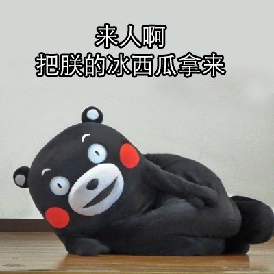 熊本熊热到昏古七！这套夏日表情包太懂打工人了