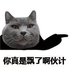 猫脸熊猫人聊天表情包合集