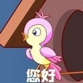 七夕布谷鸟表情包火了！一句“不孤不孤”刷屏聊天框