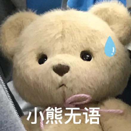 软萌又会整活！毛绒玩具玩偶表情包合集