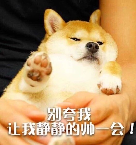 狗狗版拒绝表情包合集来啦