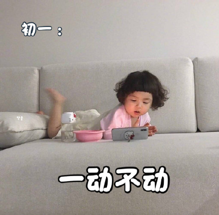 萌娃罗熙宅家一动不动表情包火了