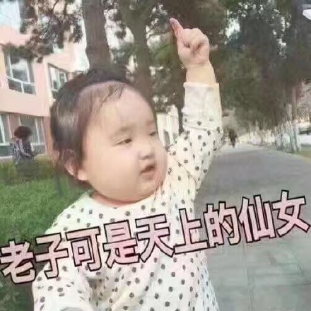 超萌小刚几表情包合集