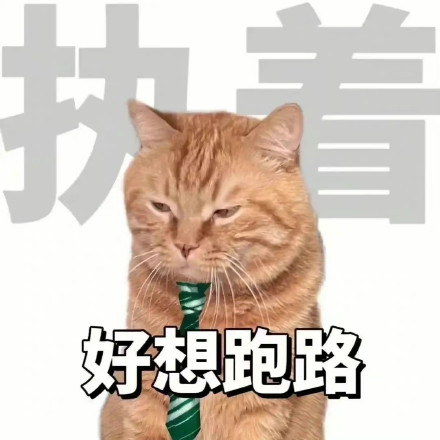 当代打工人的真实状态，都在这套表情包里了