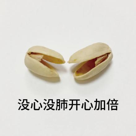 聊天必备！这套开心果表情包太好用了