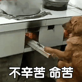 养猫养狗的看过来！这套动图表情包太好用了