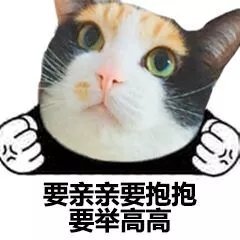 猫脸熊猫人聊天表情包合集