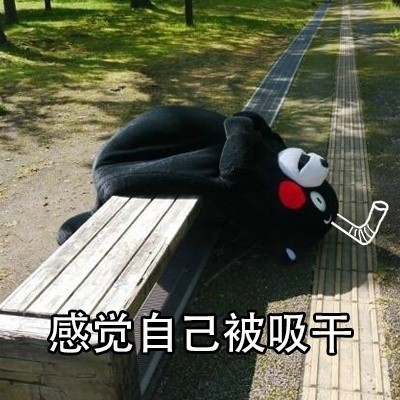 你们。。你们吸熊吗？