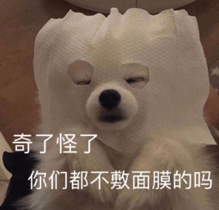 聊天斗图必备！这组猫咪狗子表情包太治愈了