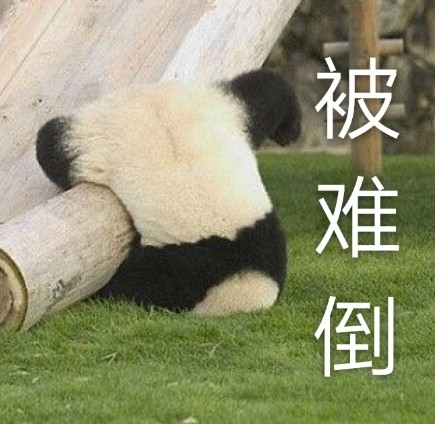 圆滚滚熊猫表情包来啦！聊天斗图直接用
