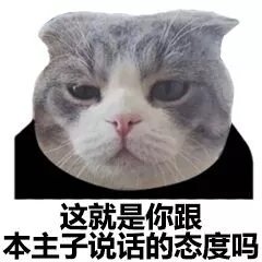 猫脸熊猫人聊天表情包合集