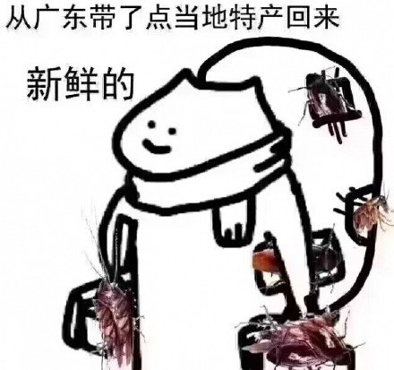 聊天斗图新选择！蟑螂表情包合集上线啦