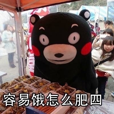 熊本熊版“怎么肥四”表情包合集来了