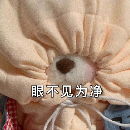 超火的莉娜熊表情包来啦！