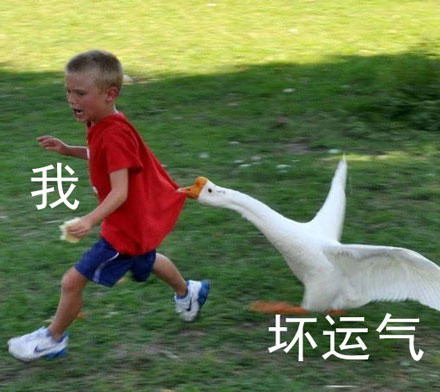 打工人、考试党同款！