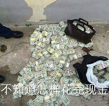 网友整活：我的人生有太多烦恼了 这套炫富表情包太扎心了