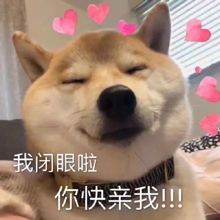 全网超全柴犬表情包合集来啦
