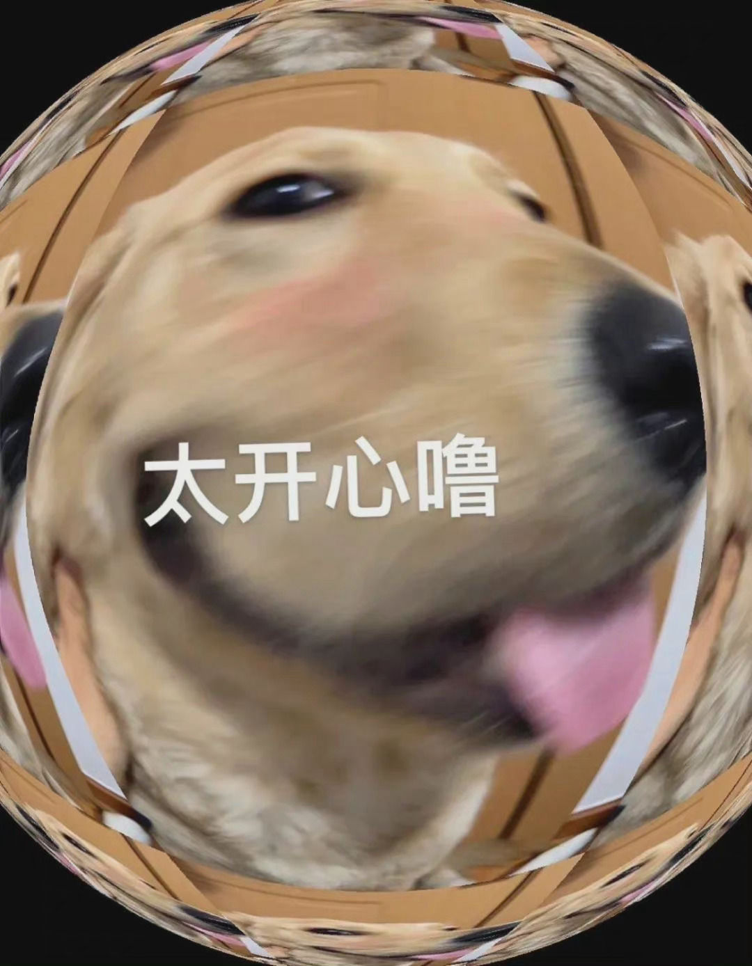超甜修狗表情包！喊老婆开门、说我爱你都安排上了