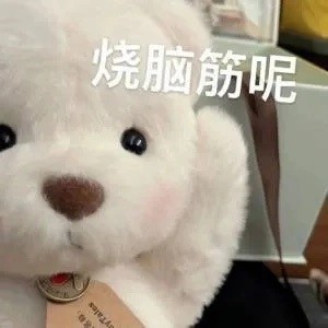 超火的莉娜熊表情包来啦！