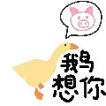 聊天斗图别愁！这套沙雕鹅表情包刚好适配你的情绪