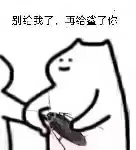 聊天斗图新选择！蟑螂表情包合集上线啦