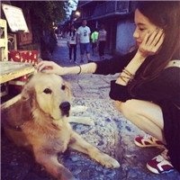 女生带宠物的有爱头像合集 一共18张好看的图