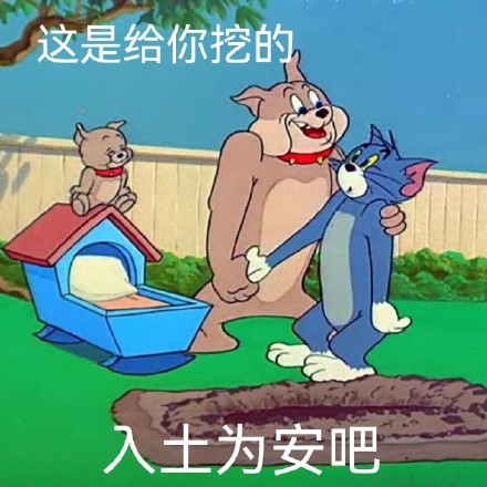 今日份精选聊天表情包来啦