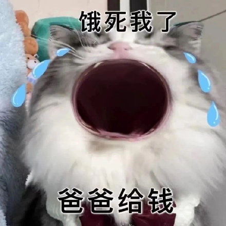 爸宝大嘴猫表情包来了 聊天斗图用得上
