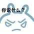 小兔子表情包上新啦