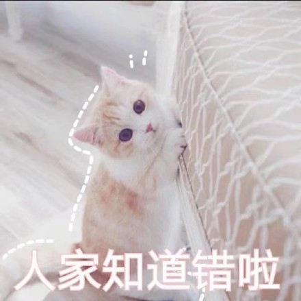 超治愈！一组软萌猫咪聊天表情包