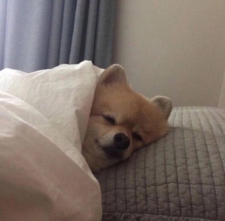 降温天必备！裹紧小被子表情包合集