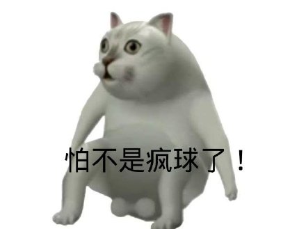 Mur猫憨憨猫表情包合集来啦