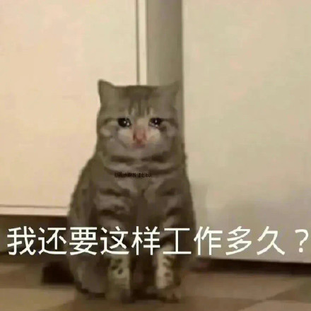 2月6日斗图表情包合集来啦