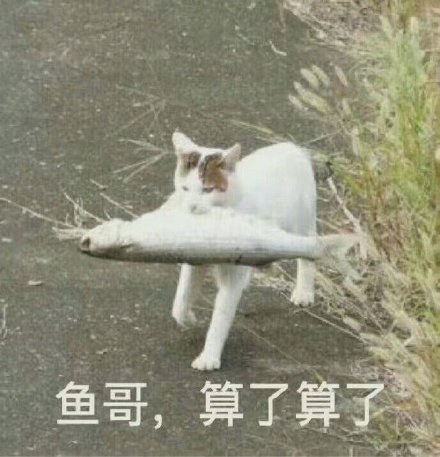 斗图神器！这套“大哥 算了算了”表情包太接地气了