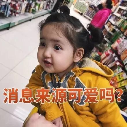 软萌小刚几表情包合集