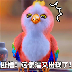 《楚乔传》苍梧鸟表情包来啦 小鹦鹉萌翻斗图圈