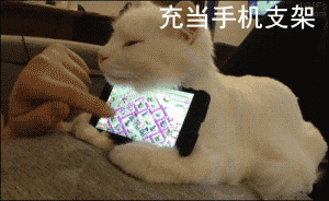 养猫的N种用处表情包合集