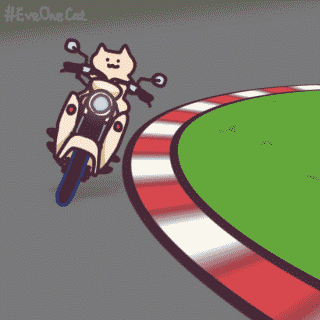 超萌EveOneCat猫咪GIF表情包合集