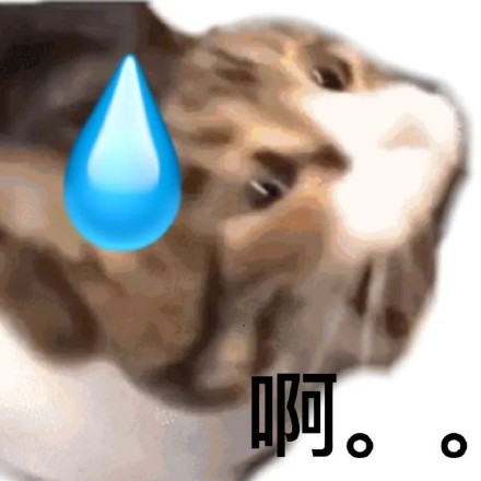 聊天斗图必备！这套带“啊”字的猫咪表情包太好用了