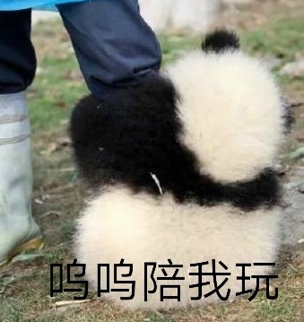 圆滚滚熊猫表情包来啦！聊天斗图直接用