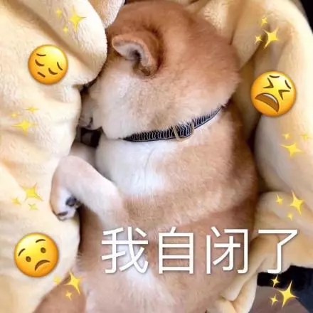 全网超全柴犬表情包合集来啦