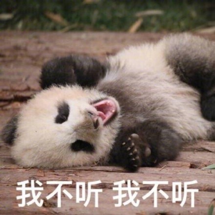 国宝大熊猫滚滚表情包来啦！