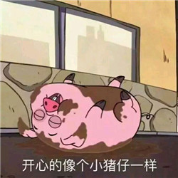 刷到这套猪猪表情包，谁看了不说一句可爱